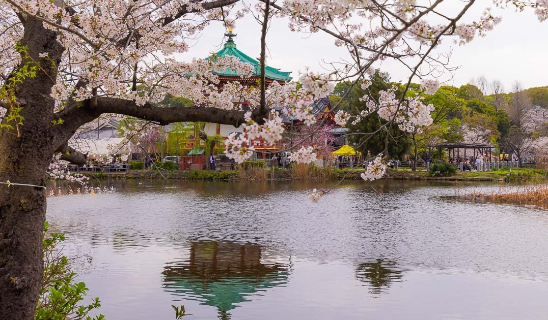 ⛩️ 시노바즈노이케 변천당 (不忍池辨天堂) 이미지 6